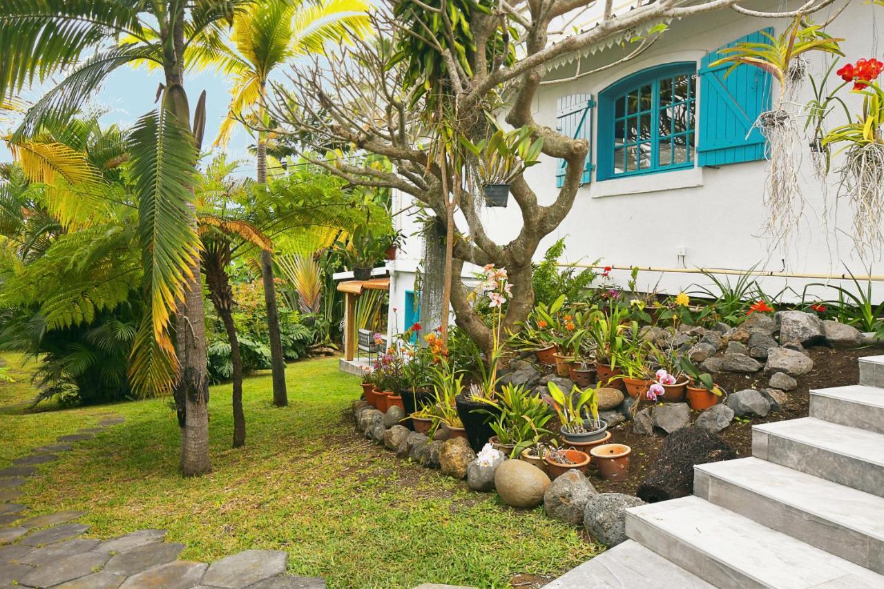 Le Jacaranda Du Guillaume Bed & Breakfast Le Guillaume Exterior foto